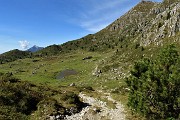 48 Sguardo indietro alla bucolica conca della Casera Campelli